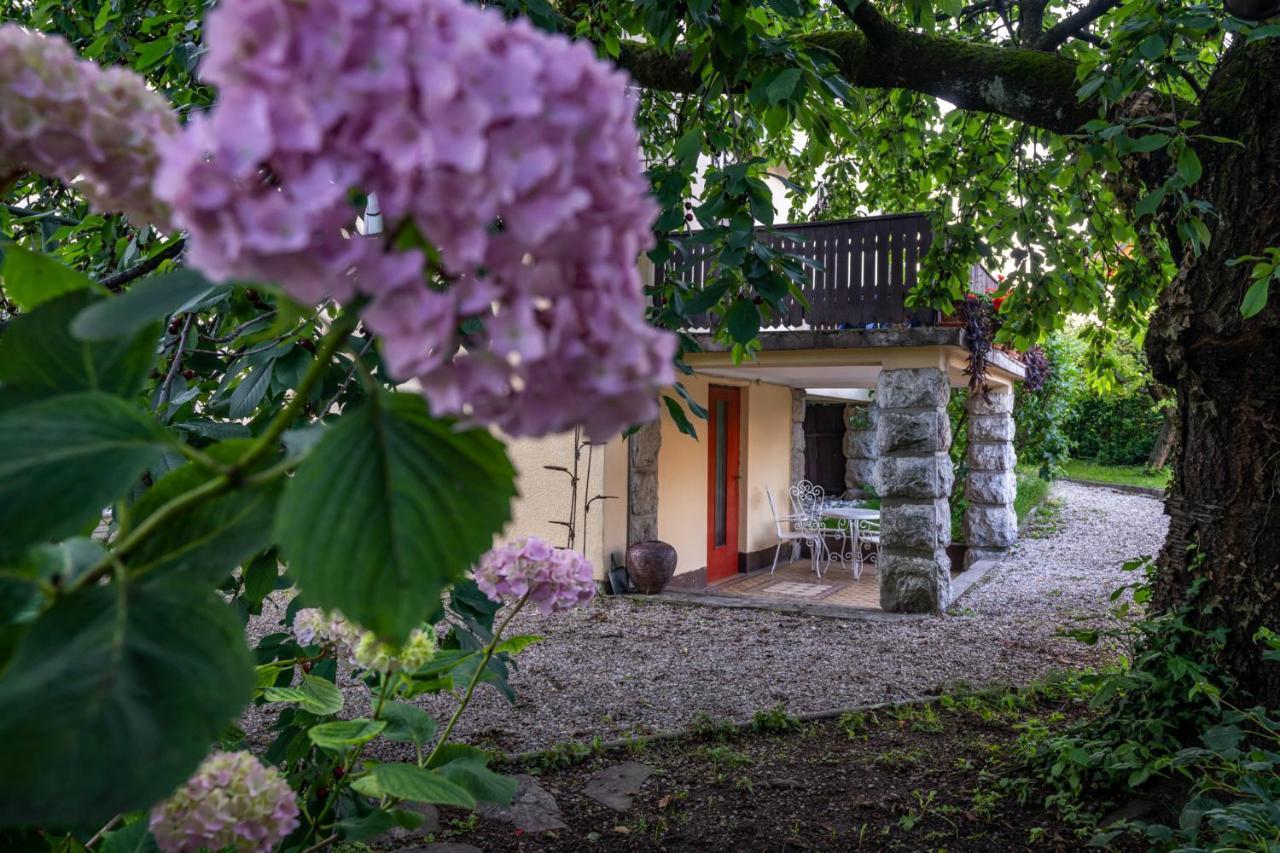 Villa Anna Bled Exteriér fotografie