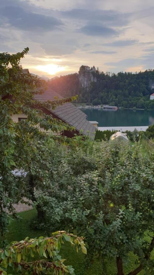 Villa Anna Bled Exteriér fotografie