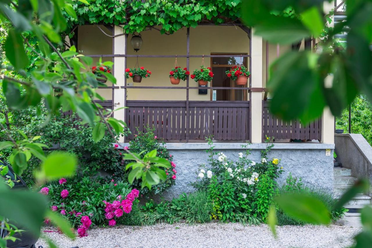 Villa Anna Bled Exteriér fotografie